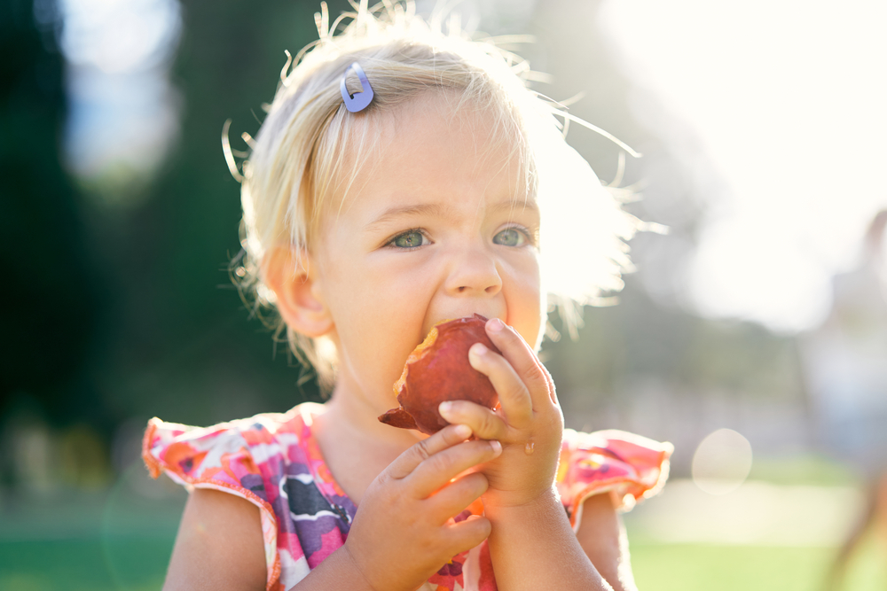 Southern Baby Names